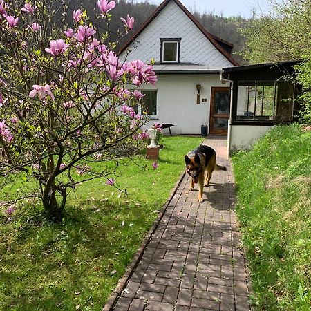 Ferienhaus Andrea Am Bodetal Treseburg Екстер'єр фото