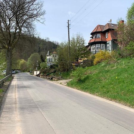 Ferienhaus Andrea Am Bodetal Treseburg Екстер'єр фото