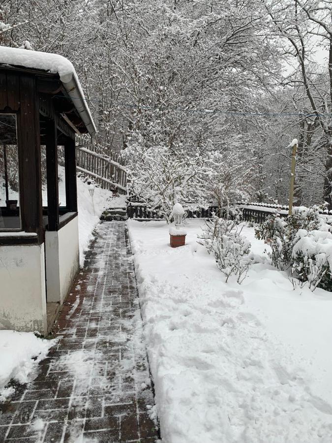 Ferienhaus Andrea Am Bodetal Treseburg Екстер'єр фото