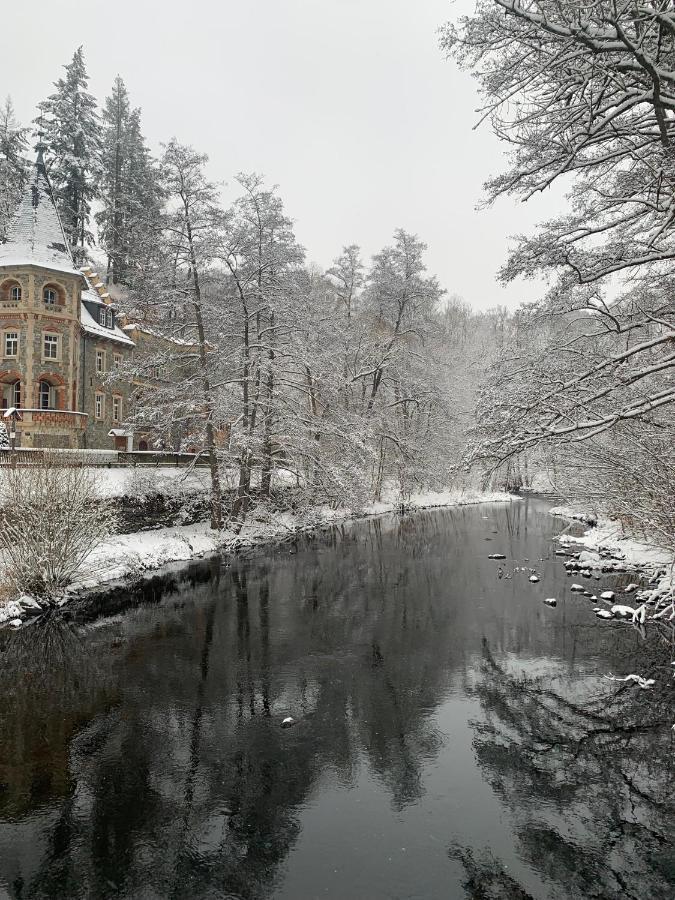 Ferienhaus Andrea Am Bodetal Treseburg Екстер'єр фото