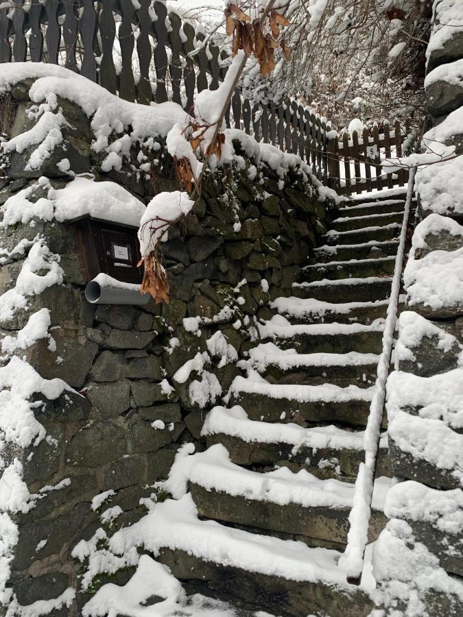 Ferienhaus Andrea Am Bodetal Treseburg Екстер'єр фото