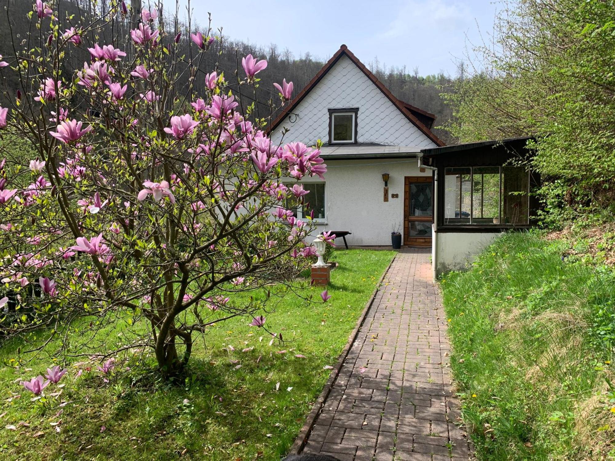 Ferienhaus Andrea Am Bodetal Treseburg Екстер'єр фото
